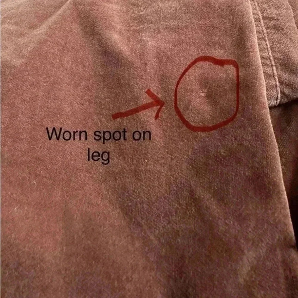 Peruvian Connection Stretchy Velveteen Boot Cut Pants Pecan Brown Women’s Size 4 - Picture 14 of 14